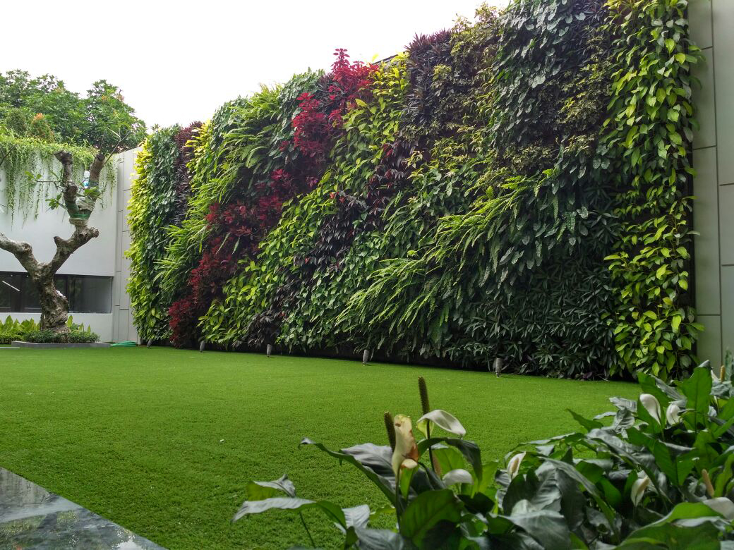 The Rise of Vibrant Vertical Gardens: Embracing Lush Green Walls