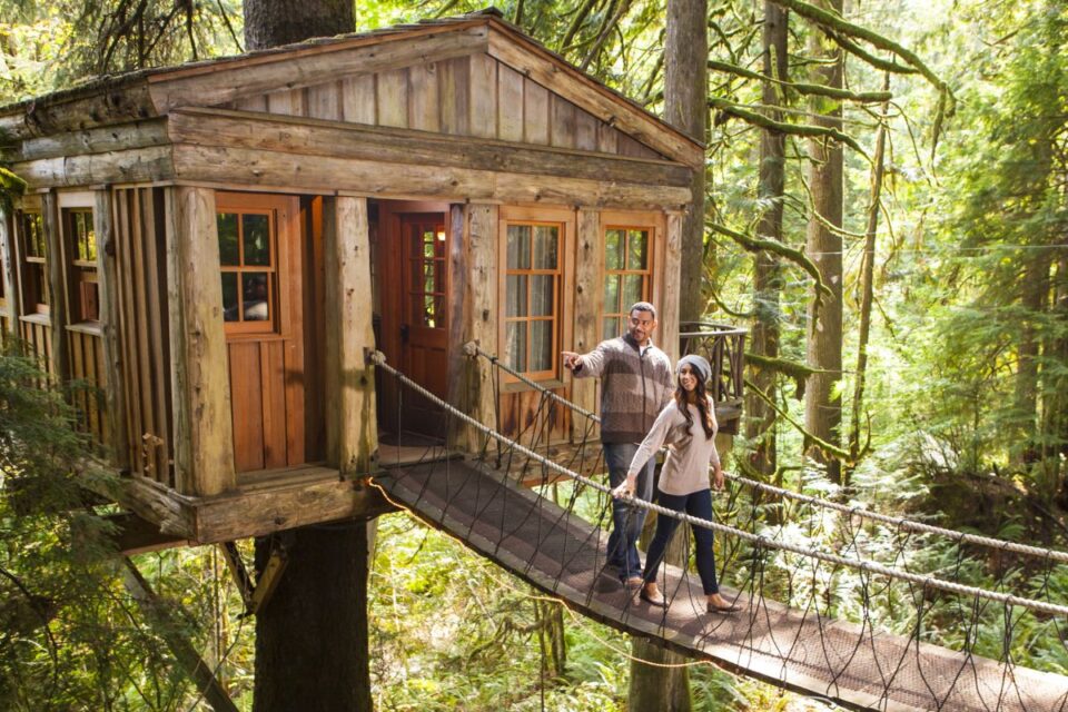 Experiencing Elevated Living Amidst the Treetops